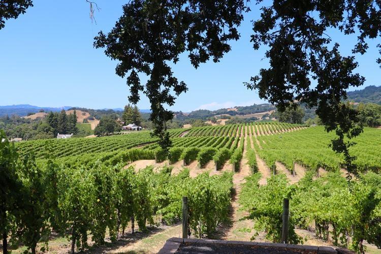 robert young estate winery sonoma county california