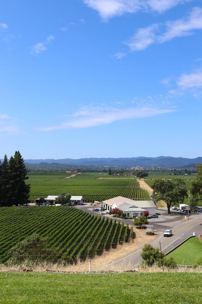 view of alexander valley from robert young estate winery sonoma county california