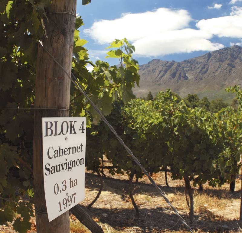 cabernet grapes boekenhoutskloof - Photographer: Charmaine Greiger Wines of South Africa