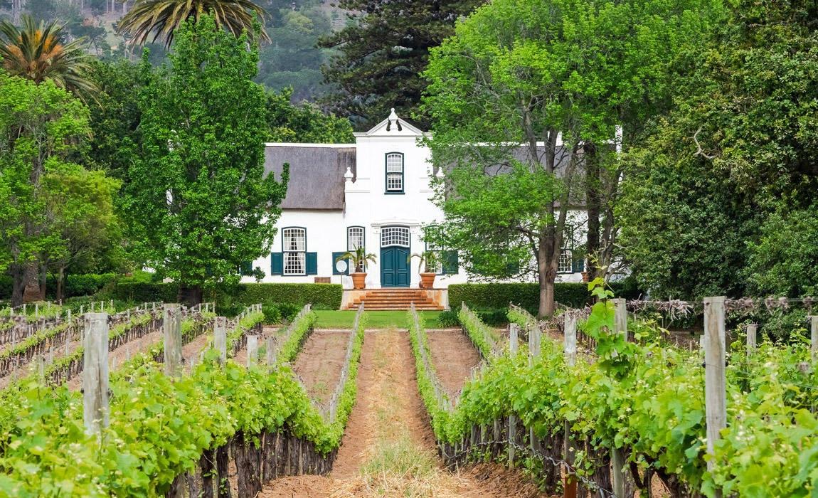 exploring the wines of south africa