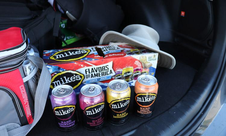 Spring Training Tailgate Tips for Cactus League Spring Training Baseball