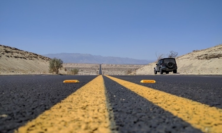 How to Survive in the Desert