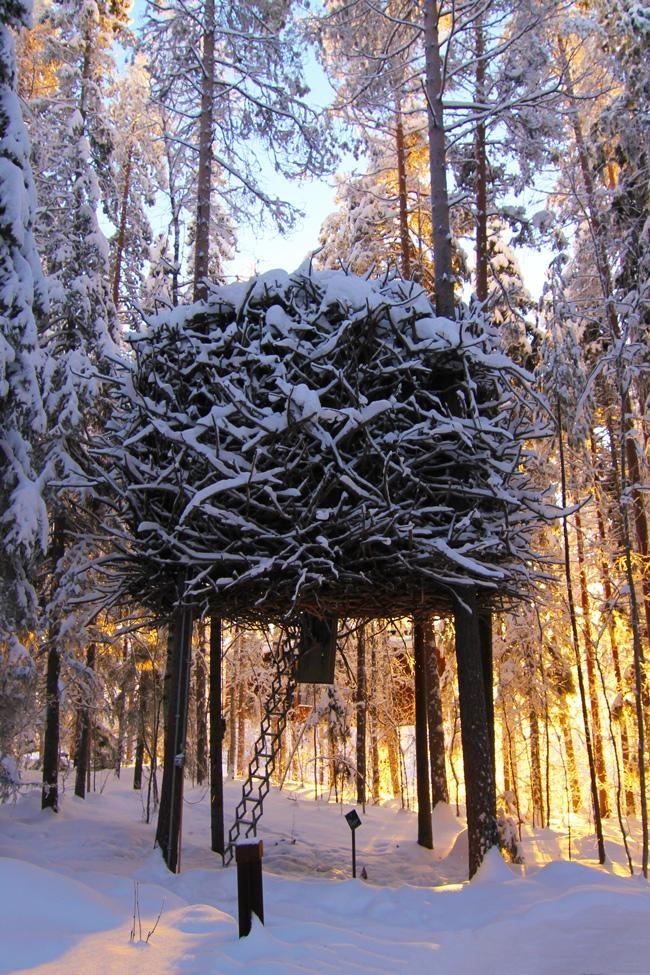 birds nest treehouse
