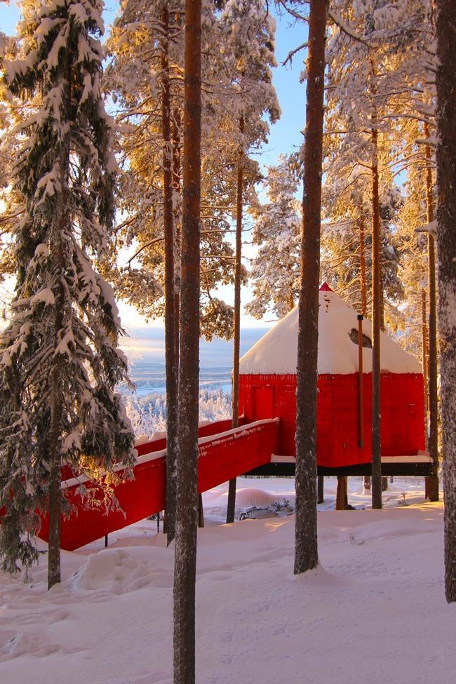 blue cone treehouse