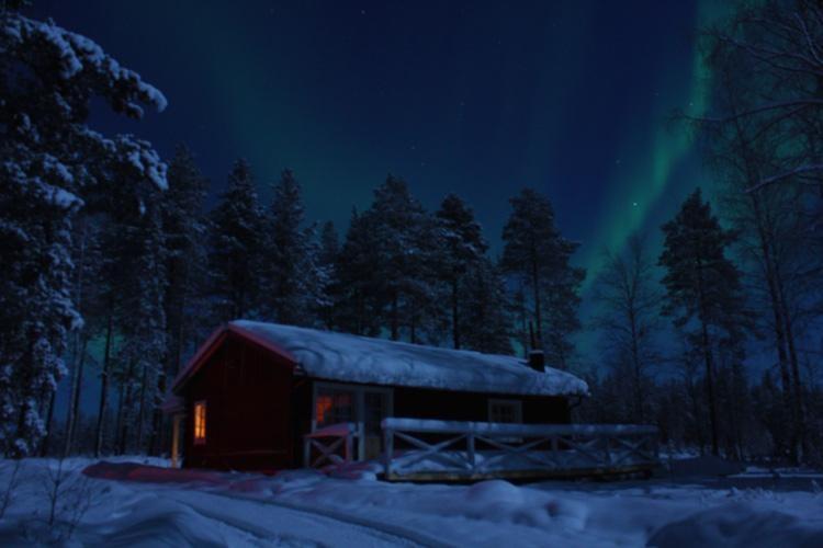 forest cabin