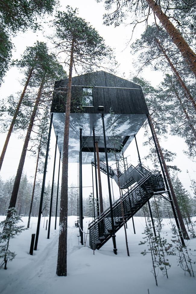 seventh room treehouse