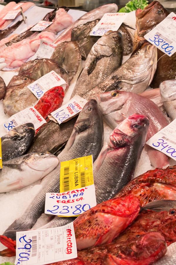 fish market in majorca spain