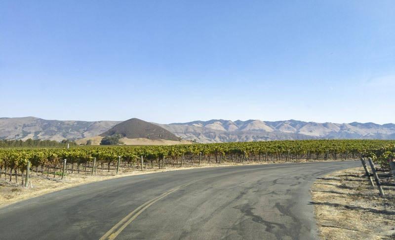 edna valley tolosa winery san luis obispo california