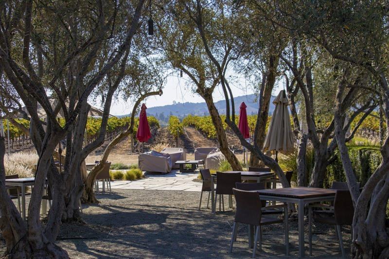 tolosa winery tasting garden