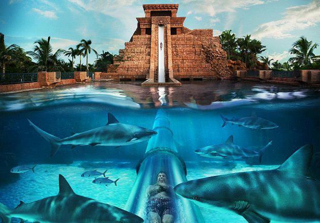 Atlantis Resort Bahamas Waterslide - Top 10 Hotel Pools from @ManTripping