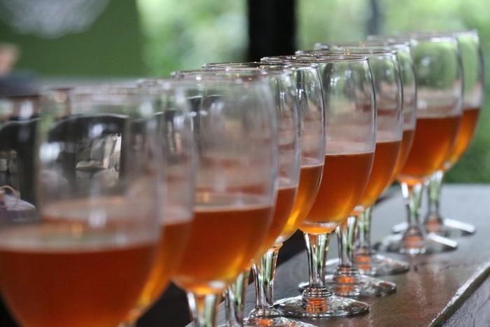 craft beer tasting