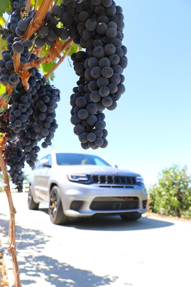 grapes with trackhawk in background