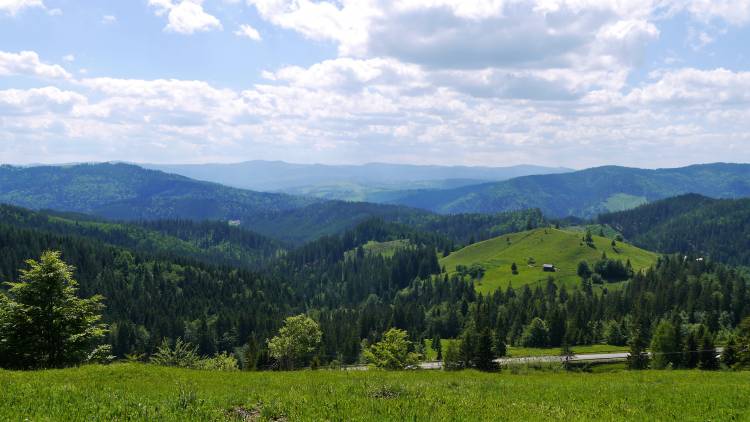 romania bucovina countryside shot 4
