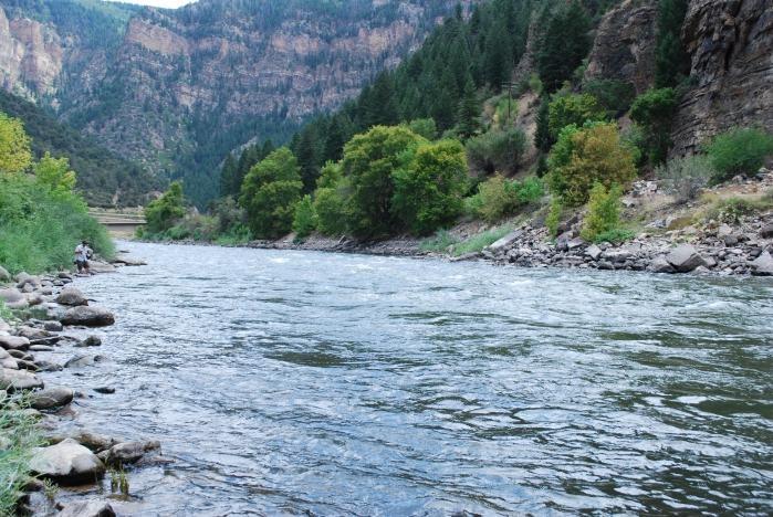 colorado river trout fishing
