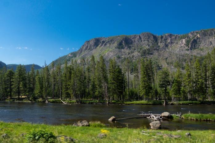 madison river trout fishing