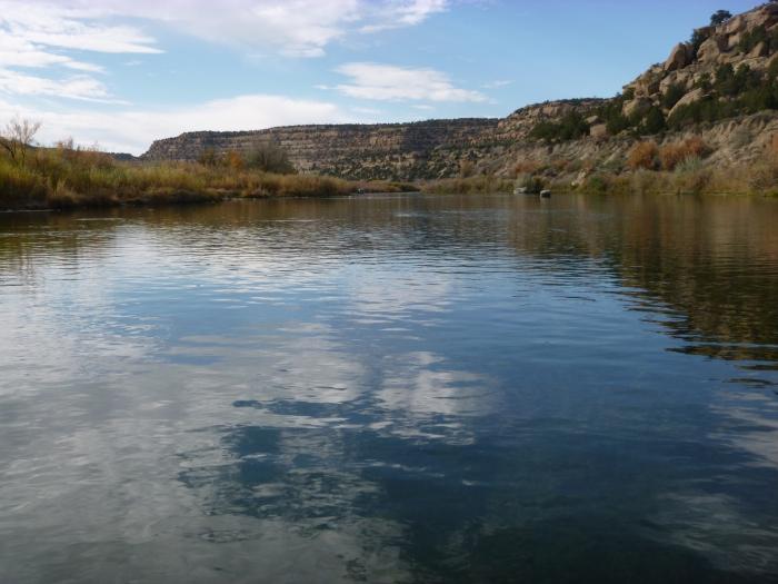 san juan river trout fishing