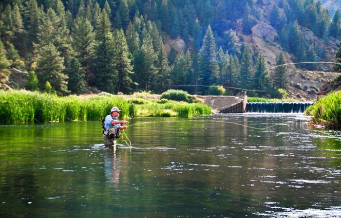 south platte river trout fishing