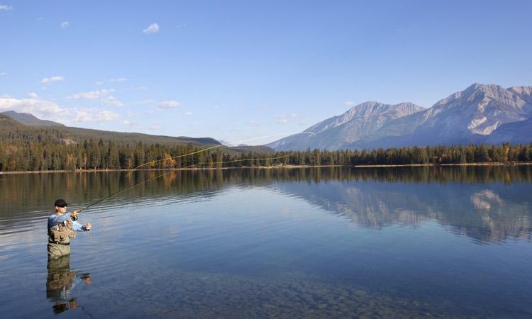 top places in the United States to catch trout