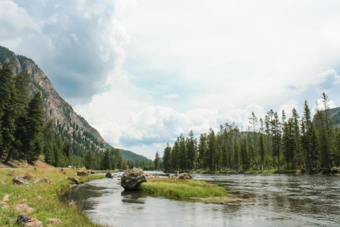 yellowstone river trout fishing