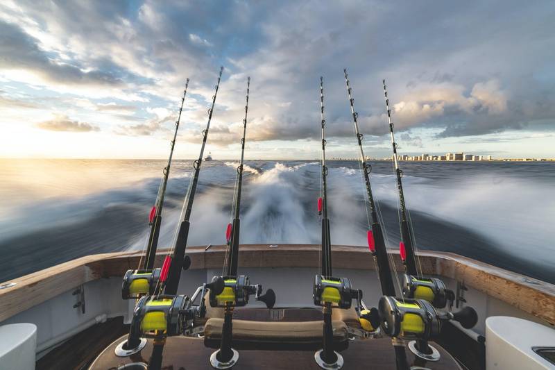 off shore fishing charter
