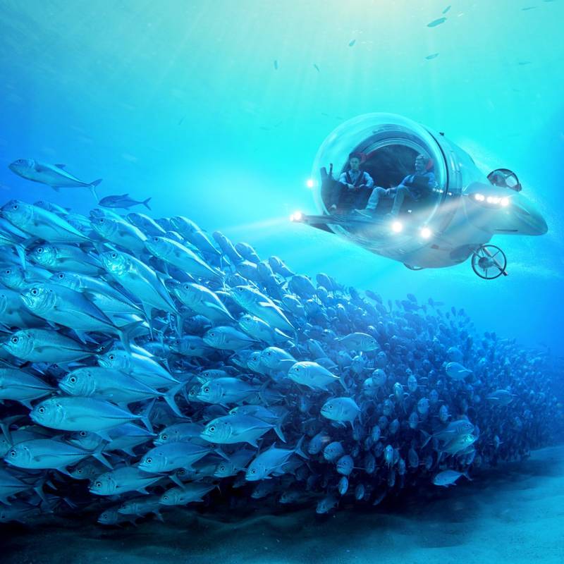 super sub cruising with a school of tuna