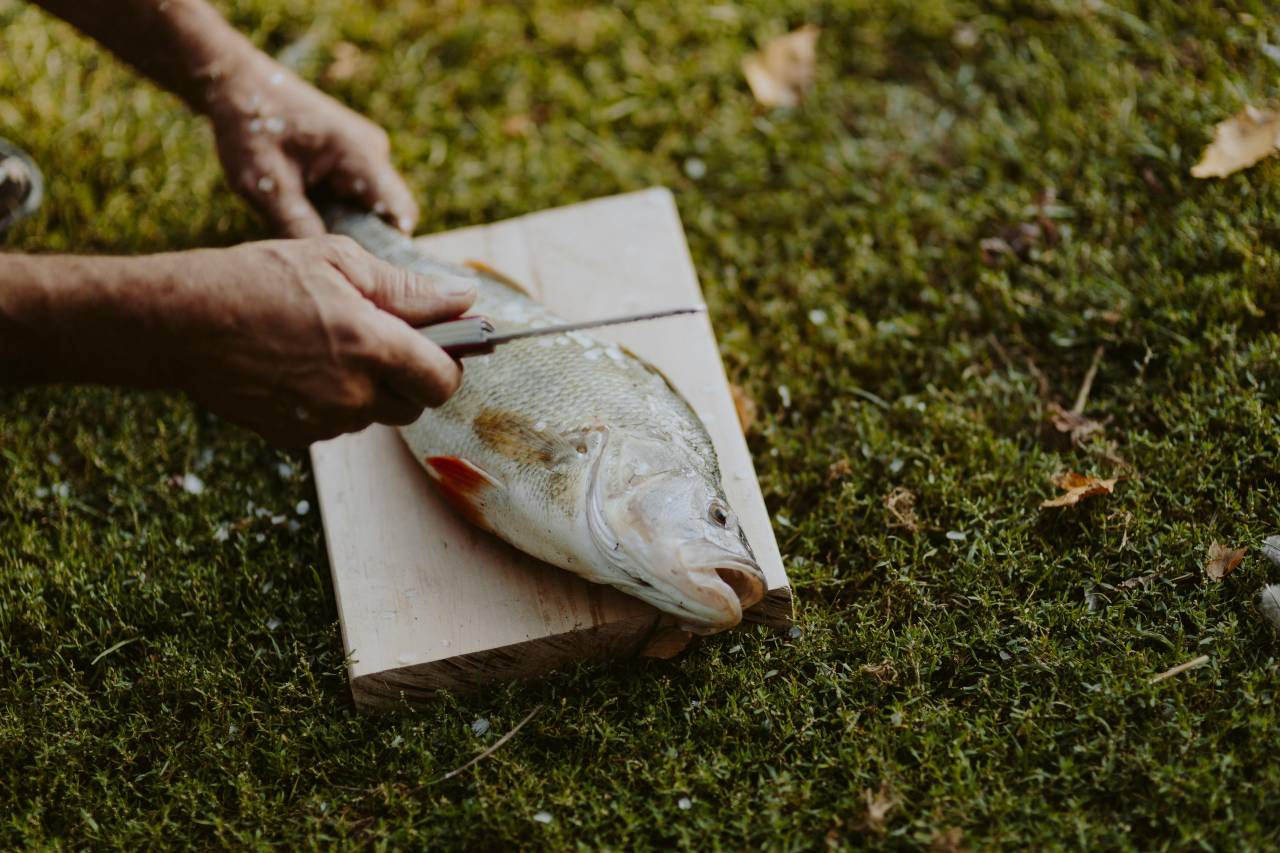 Ultimate UK Fishing Guide For Your Next Guys Trip