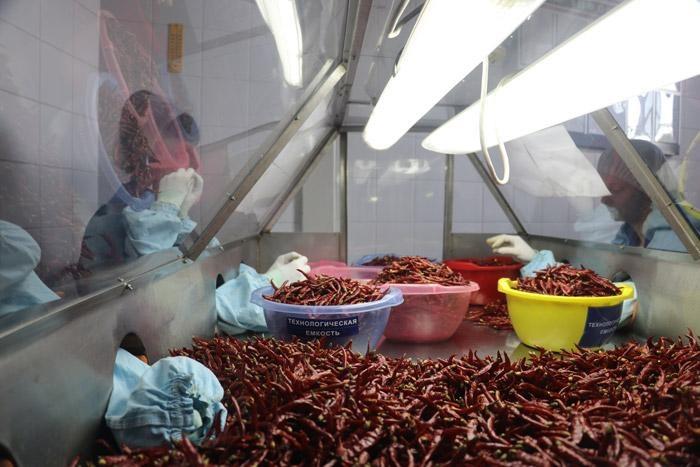 processing red peppers