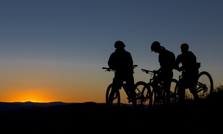 bikes at dawn