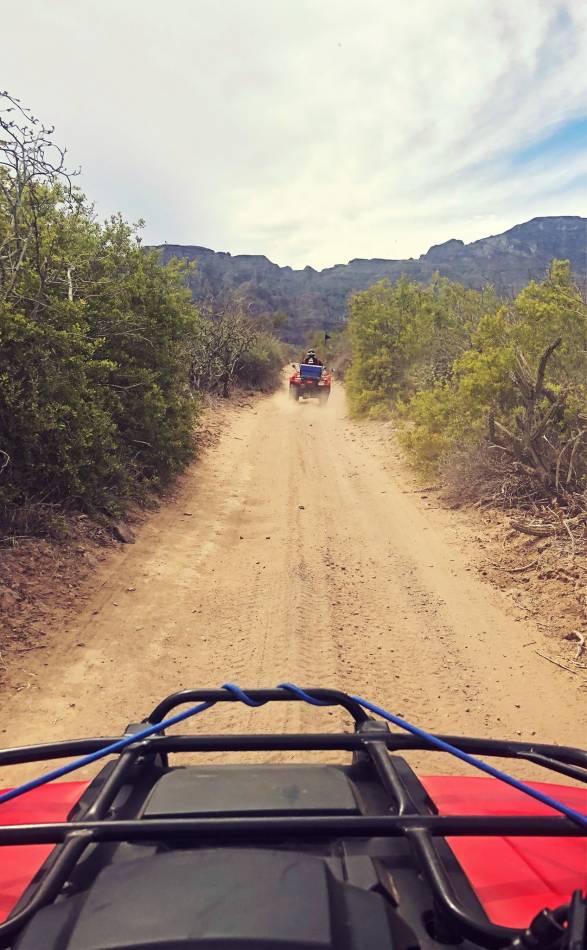 atv riding at villa del palmar loreto thegentlemanracer