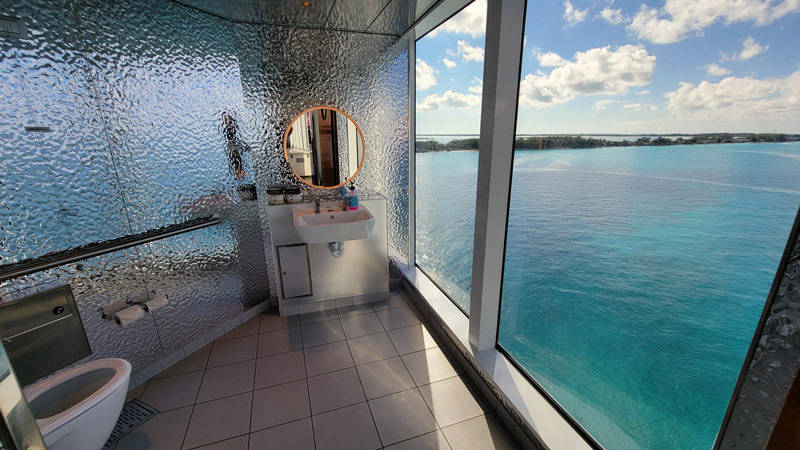 bathroom with a view