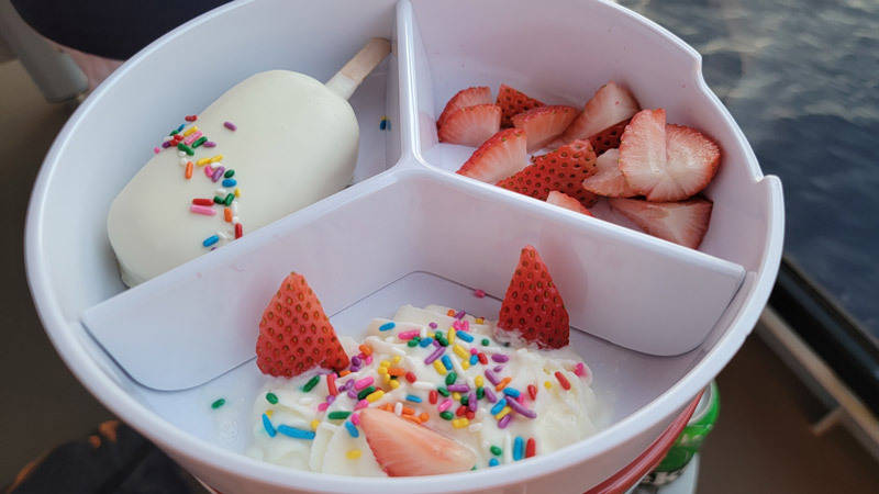 strawberries and cream