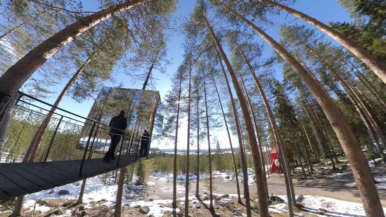 treehotel tour