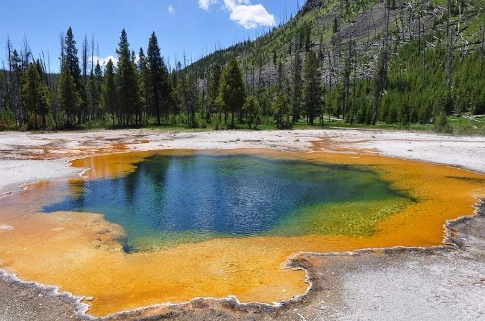 thermal hot springs yellowstone national park