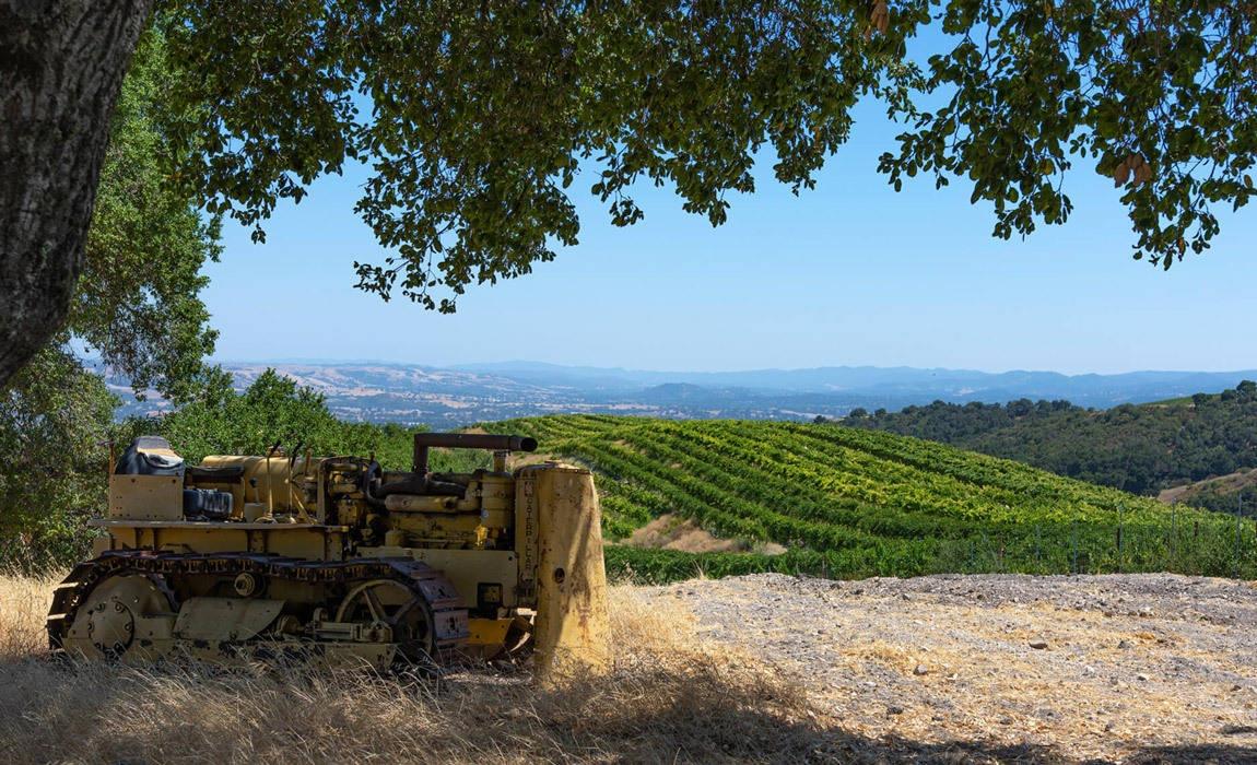 Here's how you can help your favorite wineries recover