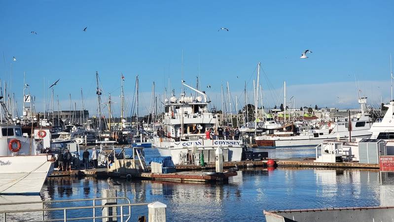 point loma harbor