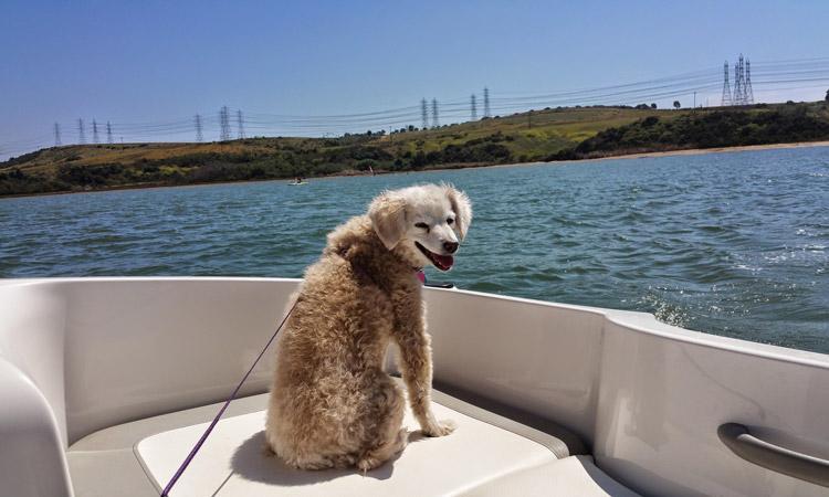 Niki Belle on a Boat