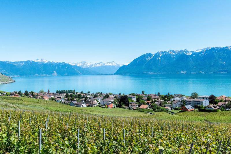bourge en lavaux switzerland on lake geneva