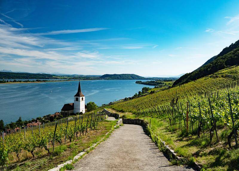 klotzli vineyard in ligerz switzerland