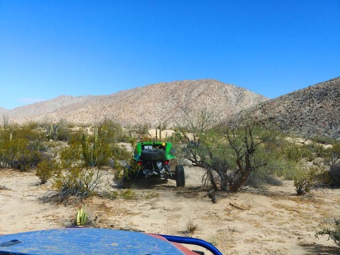 making new trails through baja desert brush