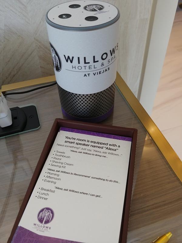 alexa in willows hotel room