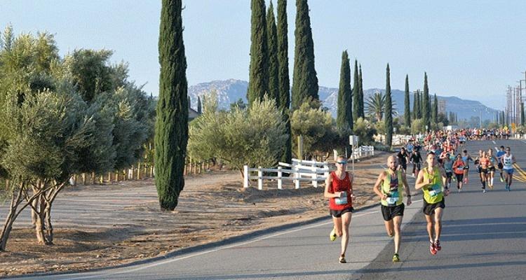 Wine Country Half Marathon Temecula