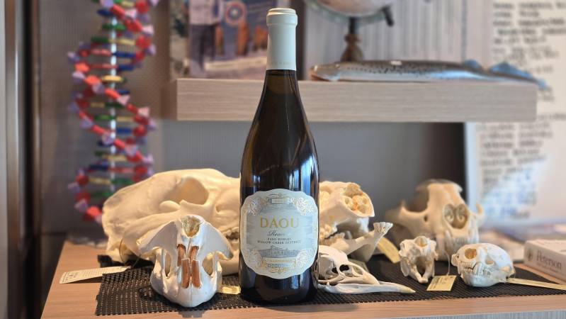 2023 daou reserve chardonnay