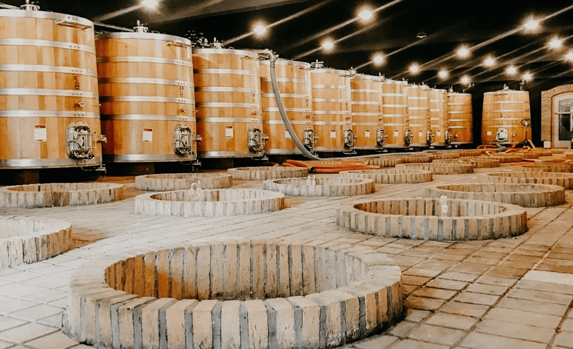 wines of georgia winemaker