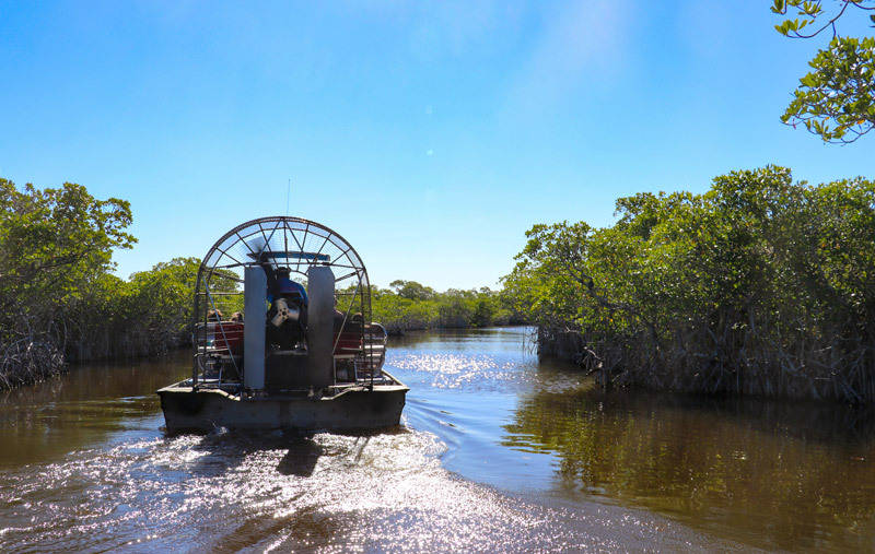 Wooten's Everglades airboat tours