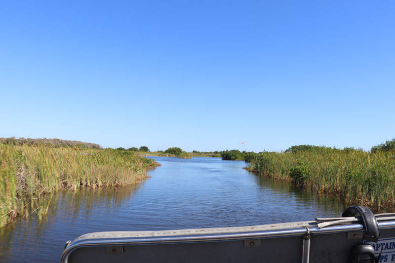 wootens airboat grass wetlands