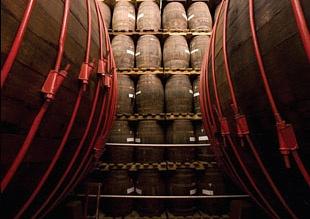zacapa-aging