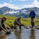 Four guys panning for gold in an alpine creek below snowy peaks on an Alaska wilderness lodge excursion