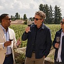Three men tasting red wine among the vines at Chateau Pape Clement outside Bordeaux, France on a guys trip