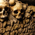 Wall of skulls and stacked bones in the Paris Catacombs ossuary