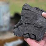 A large chunk of Bear Mountain hardwood lump charcoal held in hand with visible wood grain